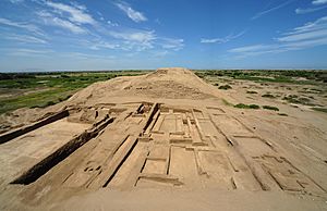 Archivo:Excavación Chornancap norte Fotografía- Proyecto Chotuna-Chornancap