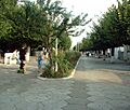 Falticeni promenada