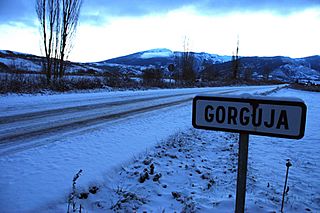 Gorguja.jpg