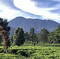 Gunung Pangrango captured by adrianyudharamadhana