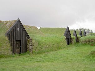 Archivo:Iceland Keldur Earth covered homes