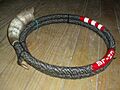 Instrument Mapuche