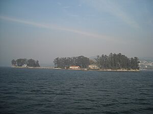 Archivo:Isla de San Simón