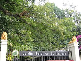 Jardinbotanicolalaguna.jpeg