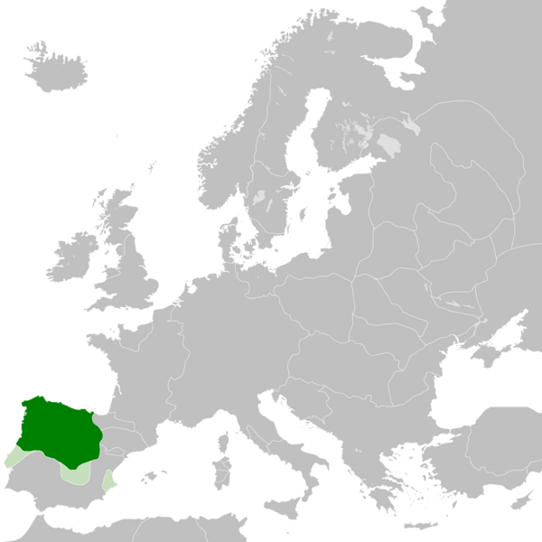 Kingdom of León (1095)