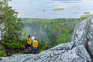 Archivo:Koli National Park, Finland (52164950823)