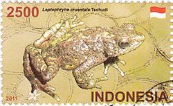 Leptophryne cruentata 2011 stamp of Indonesia.jpg