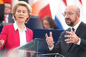 Archivo:MEPs welcome EU summit climate goals but criticise lack of budget ambition (49239057392)