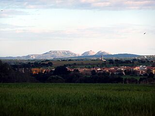 Montgrí i Borrassà.jpg