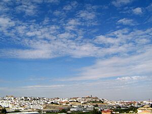 Archivo:Montilla