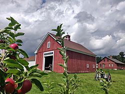 Parmenter Barn with apples.jpg