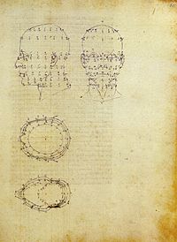 Archivo:Piero, proiezioni di una testa scorciata dal de prospectiva pingendi, ante 1482, milano, biblioteca ambrosiana