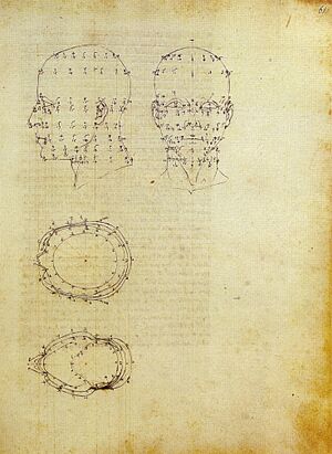 Archivo:Piero, proiezioni di una testa scorciata dal de prospectiva pingendi, ante 1482, milano, biblioteca ambrosiana