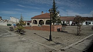 Plaza Mayor de Robliza de Cojos.jpg