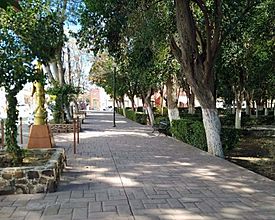 Plaza de Miguel Hidalgo en General Cepeda.jpg