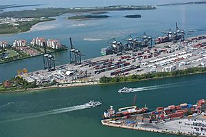 Archivo:Port of Miami Florida