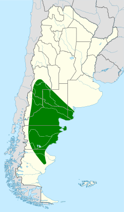 Distribución geográfica del canastero patagónico.