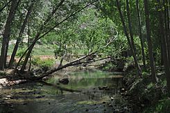 RIO RIAZA - panoramio.jpg