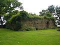 Remains of Elphinstone Tower (geograph 1961775)