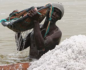 Archivo:Salt collector in Lake Retba