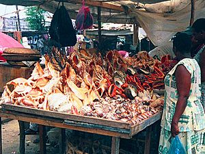 Archivo:Seashell vendor