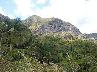 Sierra de los Órganos vers Vinales.jpg