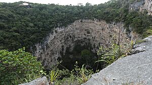 Archivo:Sima de las Cotorras - panoramio