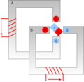 Stepper motor full step3bis