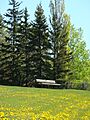 Summer 2009 in winnipeg canada (5)