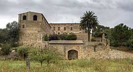 Terrades - Castell de Palau-surroca.jpg