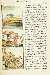 The Florentine Codex- Insects and Inflammations