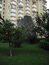 Torre ladeada (2)