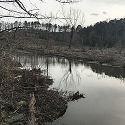 Tuckahoe Creek (Henrico and Goochland Counties, Virginia).jpg