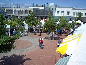 Archivo:Vogel Plaza Art in Bloom 2007