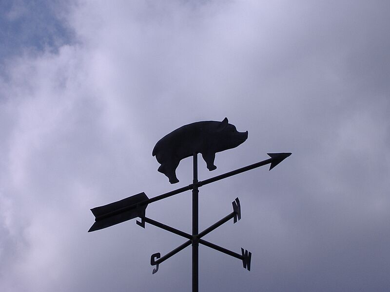 Wilber's BBQ - Pig vane