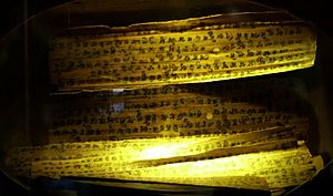 Archivo:009 Gandhara Manuscript (9170303981)