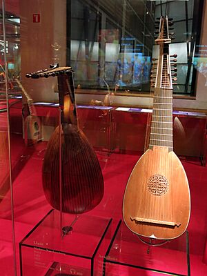 Archivo:078 Museu de la Música, llaüts