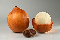 Achacha fruits and seed.jpg
