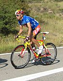 Archivo:Alejandro Valverde - Vuelta 2008