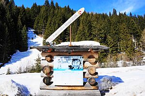 Archivo:Annemarie Moser-Pröll Denkmal auf dem Weg der Skilegenden, Innerkrems, Nockberge, Kärnten
