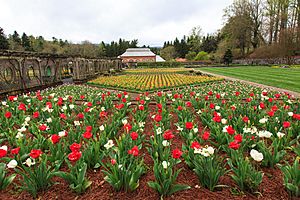 Archivo:Biltmore Estates - Tulip Garden - panoramio (1)