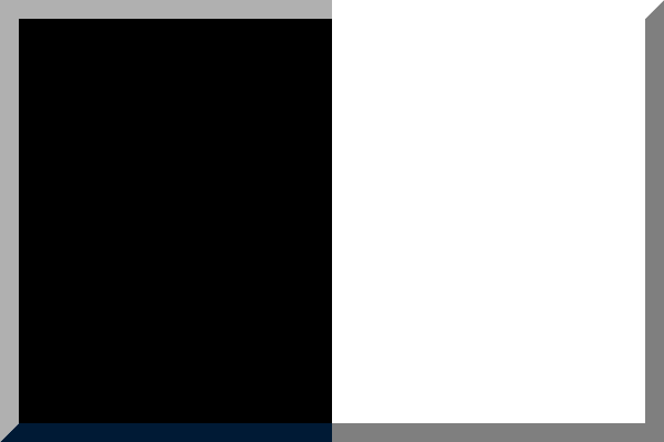 Black and White Flag