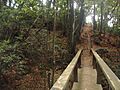 Bosque del Adelantado 4