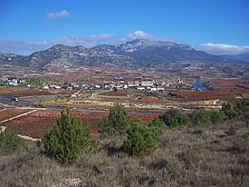 Briñas y al fondo la Sierra de Toloño.JPG