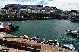 Brixham (2021-07-28) 10.jpg