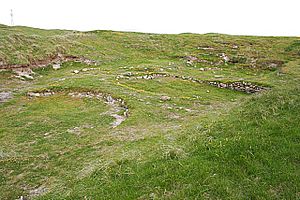 Archivo:Bronze Age Settlement - geograph.org.uk - 1340839
