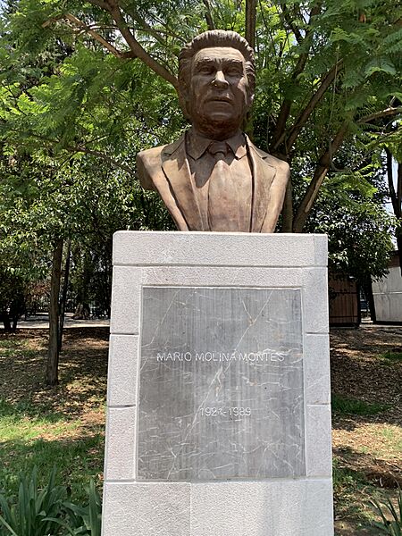 Busto de Mario Molina