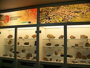 Archivo:Centro de Interpretación de los Fósiles de Navatrasierra.