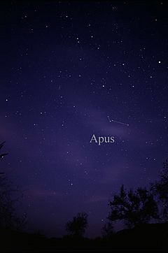 Archivo:Constellation Apus