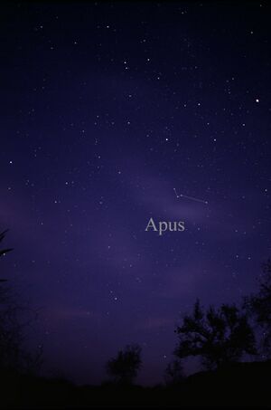 Archivo:Constellation Apus